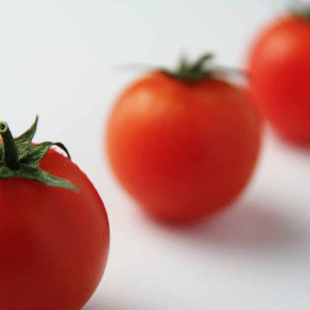 TOMATOES
